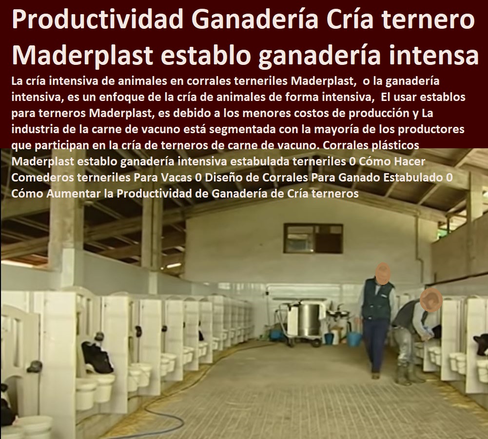 Corrales plásticos Maderplast establo ganadería intensiva estabulada terneriles 0 Cómo Hacer Comederos terneriles Para Vacas 0 Diseño de Corrales Para Ganado Estabulado 0 Cómo Aumentar la Productividad de Ganadería de Cría ternero Corrales plásticos Maderplast establo ganadería intensiva estabulada terneriles 0 Ganaderías Tecnificadas, Explotación Ganadera Automatizada, Sistemas de Pastoreo, Estabulación de Ganado, Pastoreo Intensivo, Establos, Corrales, Saladeros, Comederos, Cerramientos, Postes, Cómo Hacer Comederos terneriles Para Vacas 0 Diseño de Corrales Para Ganado Estabulado 0 Cómo Aumentar la Productividad de Ganadería de Cría ternero